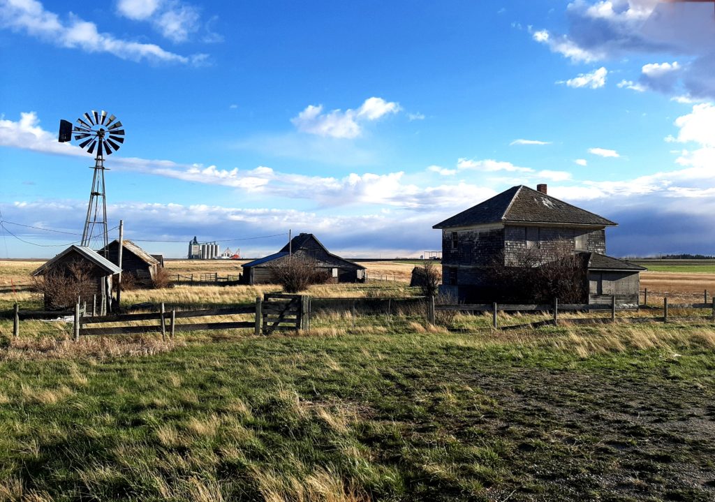 abandoned homestead
